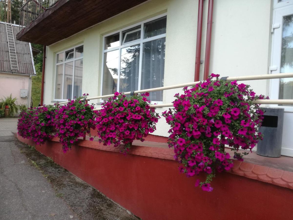 Sveciu Namai Aldaivita Ignalina ภายนอก รูปภาพ
